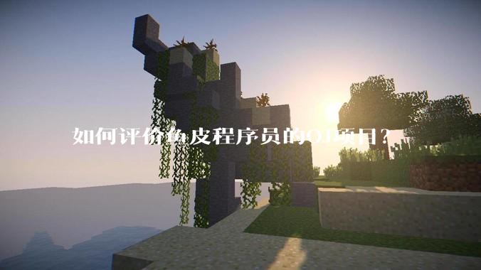 如何评价鱼皮程序员的OJ项目？