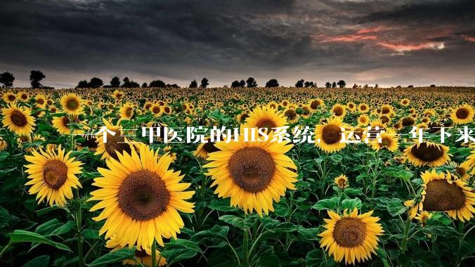 一个三甲医院的HIS系统，运营一年下来，他的数据库能有多大？