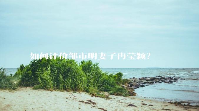 如何评价邹市明妻子冉莹颖？