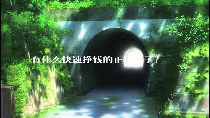 有什么快速挣钱的正规路子？
